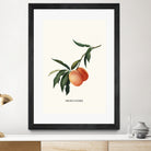 PEACHY by Jonas Loose on GIANT ART - orange photo manipulation