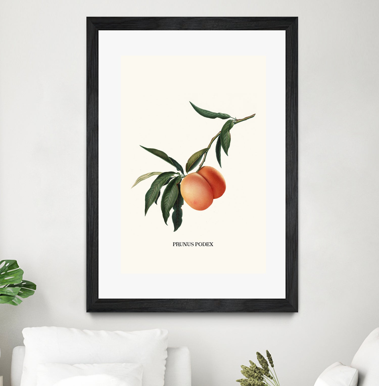 PEACHY by Jonas Loose on GIANT ART - orange photo manipulation