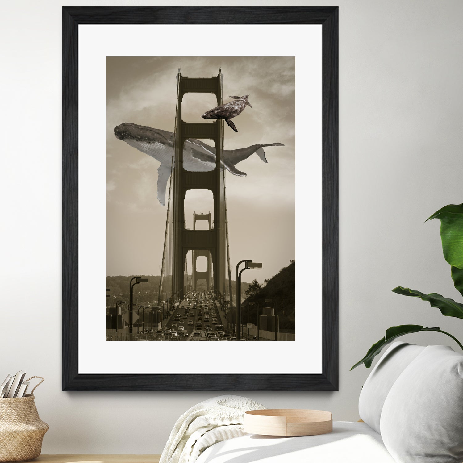 Whale Watching at the Golden Gate Bridge by David Loblaw on GIANT ART - gray photo illustration