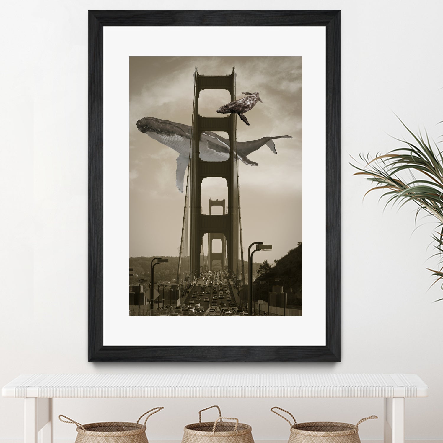 Whale Watching at the Golden Gate Bridge by David Loblaw on GIANT ART - gray photo illustration