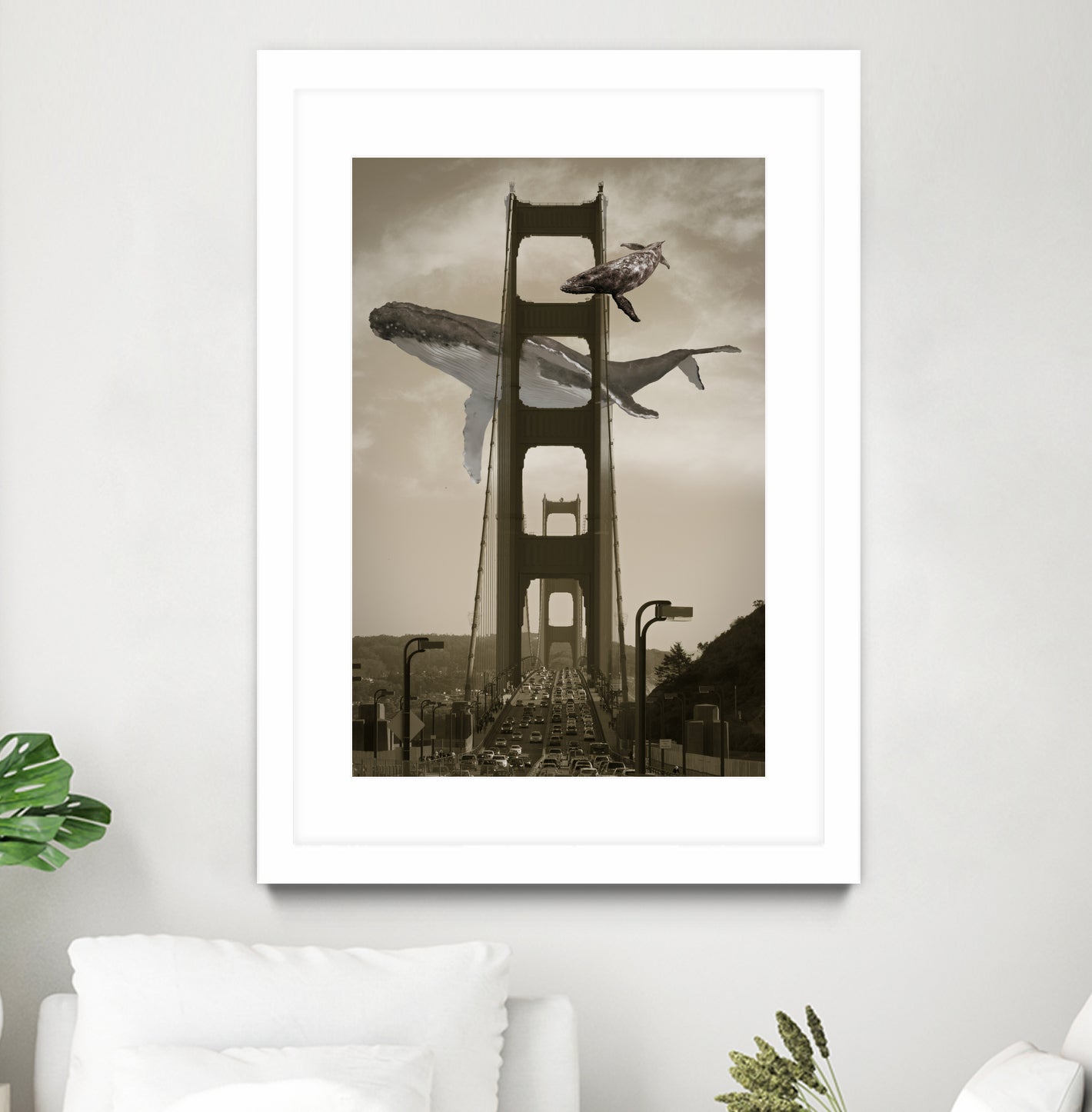 Whale Watching at the Golden Gate Bridge by David Loblaw on GIANT ART - gray photo illustration