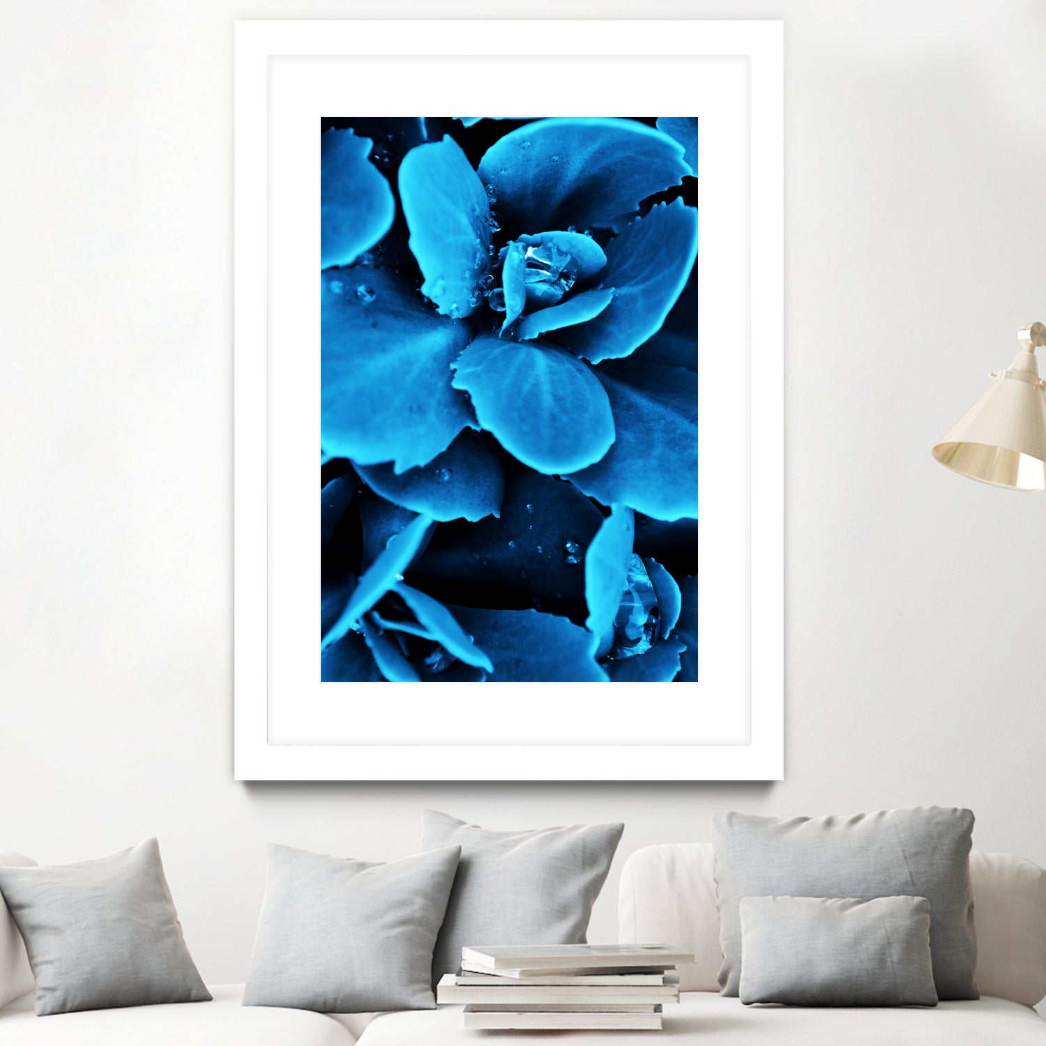 Succulent raindrops in blue by IOANNA PAPANIKOLAOU on GIANT ART - blue photo illustration