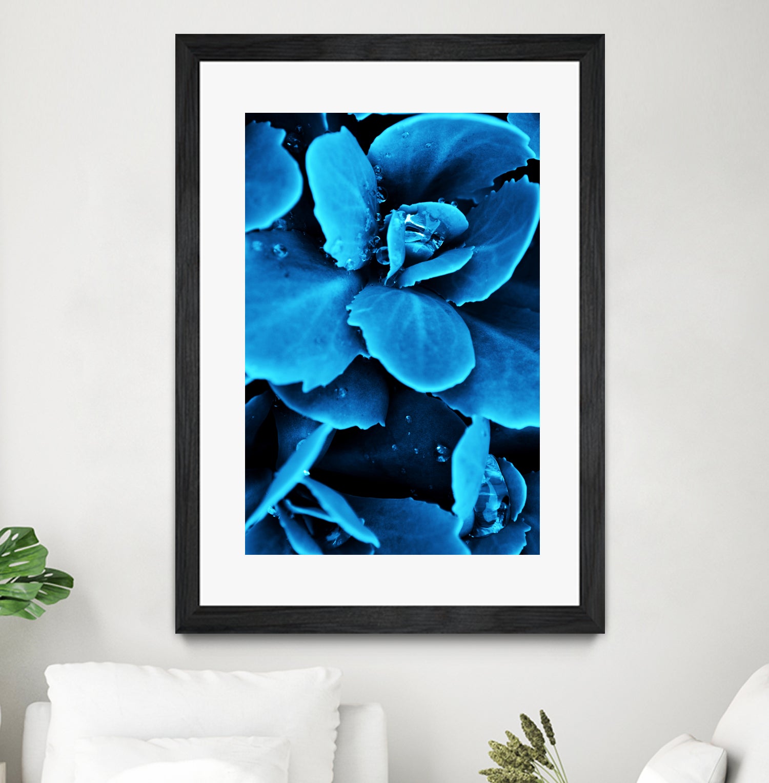 Succulent raindrops in blue by IOANNA PAPANIKOLAOU on GIANT ART - blue photo illustration