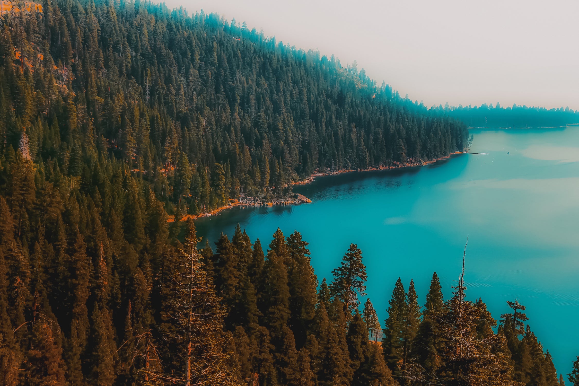 Pine tree and lake view at Emerald Bay Lake Tahoe California by sutee monchitnukul on GIANT ART - blue photo manipulation