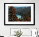 pine tree at Emerald Bay Lake Tahoe California USA by sutee monchitnukul on GIANT ART - red photo manipulation