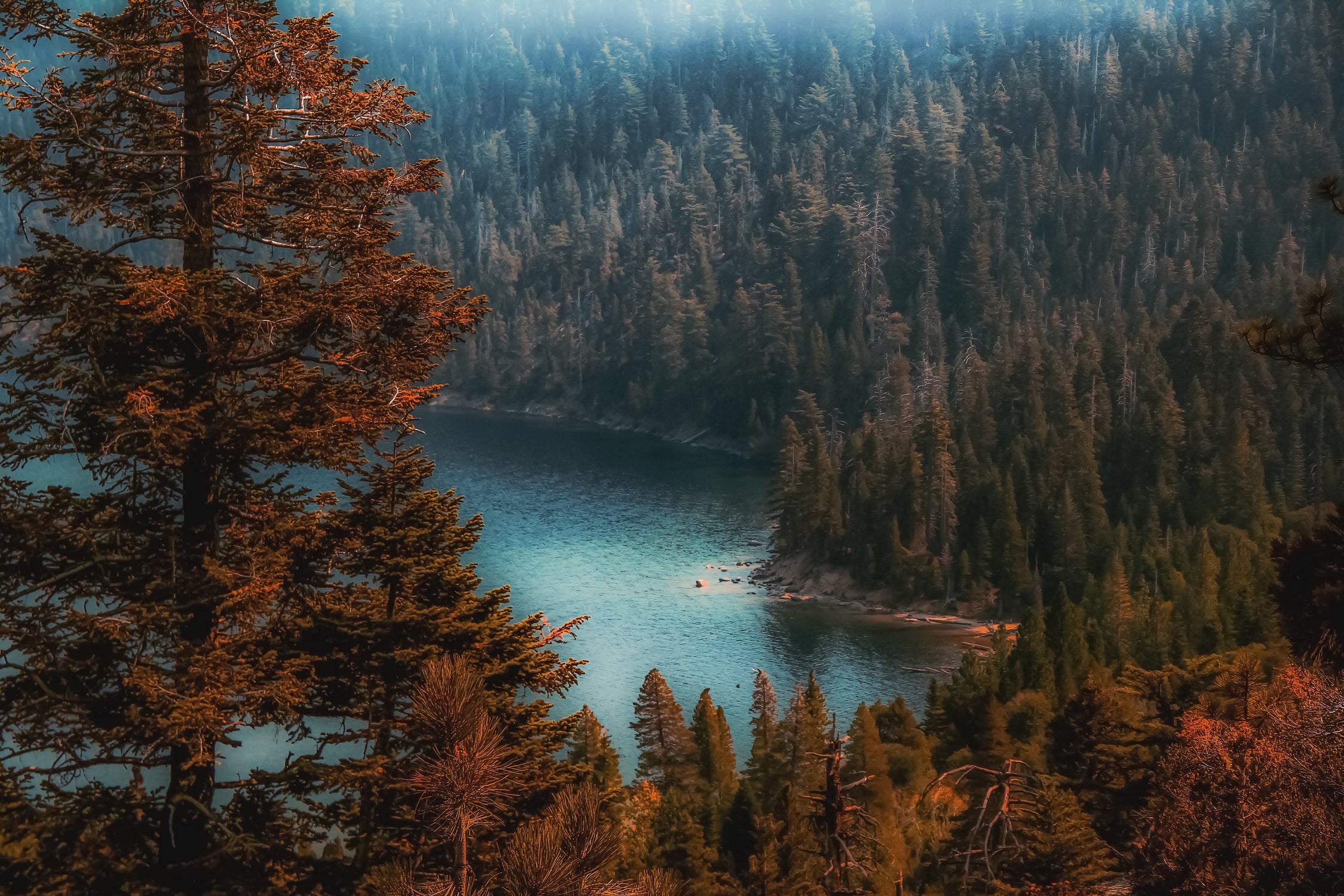 pine tree at Emerald Bay Lake Tahoe California USA by sutee monchitnukul on GIANT ART - red photo manipulation