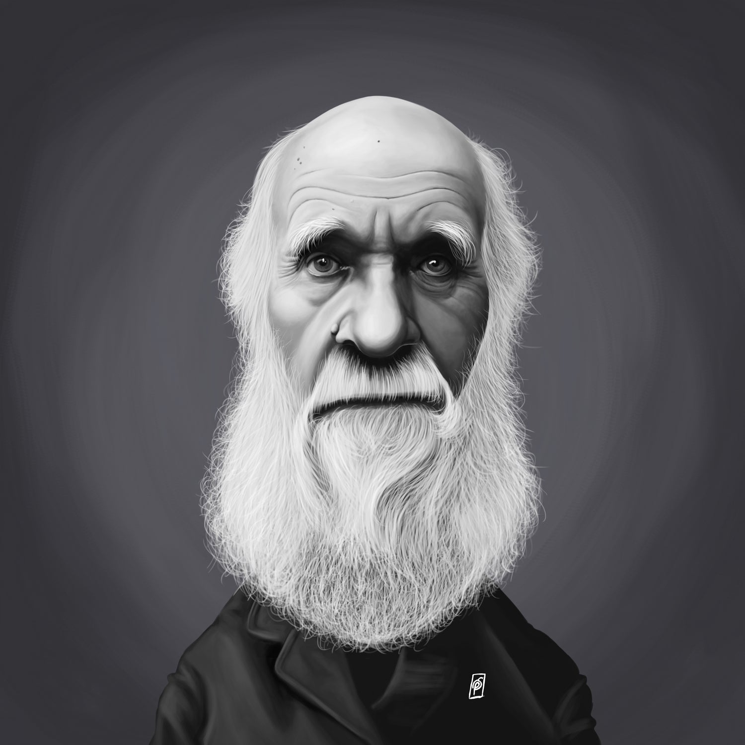 Charles Darwin by Rob Snow on GIANT ART - gray digital painting