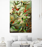 Colibri - Ernst Haeckel by Andrea Almering on GIANT ART - black digital painting