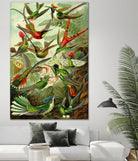 Colibri - Ernst Haeckel by Andrea Almering on GIANT ART - black digital painting