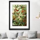 Colibri - Ernst Haeckel by Andrea Almering on GIANT ART - black digital painting