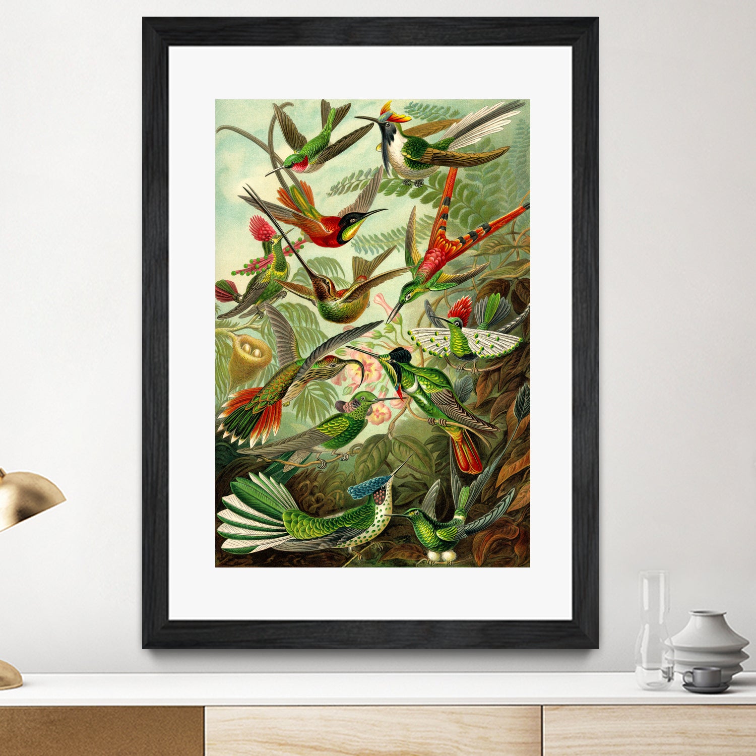 Colibri - Ernst Haeckel by Andrea Almering on GIANT ART - black digital painting