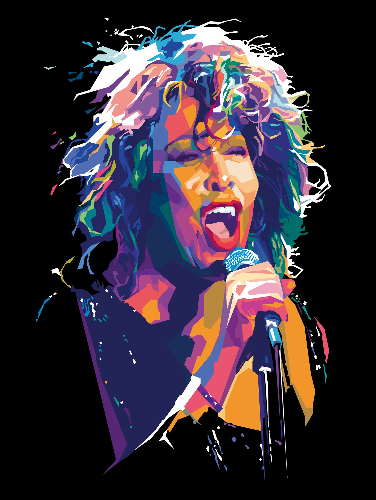 Tina Turner by Deni Rahayu on GIANT ART - black digital drawing