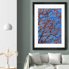 The red leaves in the early spring by Studio OMG on GIANT ART - red photo illustration