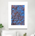 The red leaves in the early spring by Studio OMG on GIANT ART - red photo illustration