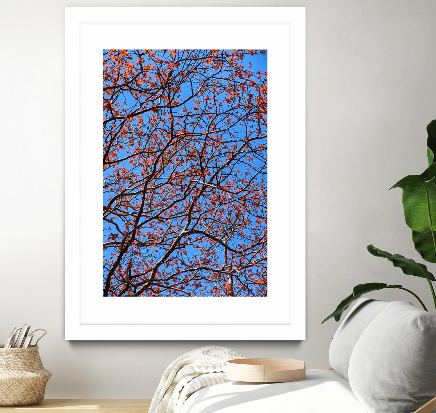 The red leaves in the early spring by Studio OMG on GIANT ART - red photo illustration