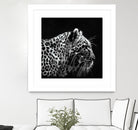 Leopard by Rainbow style on GIANT ART - black 3d art