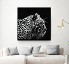 Leopard by Rainbow style on GIANT ART - black 3d art