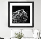 Leopard by Rainbow style on GIANT ART - black 3d art