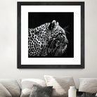 Leopard by Rainbow style on GIANT ART - black 3d art