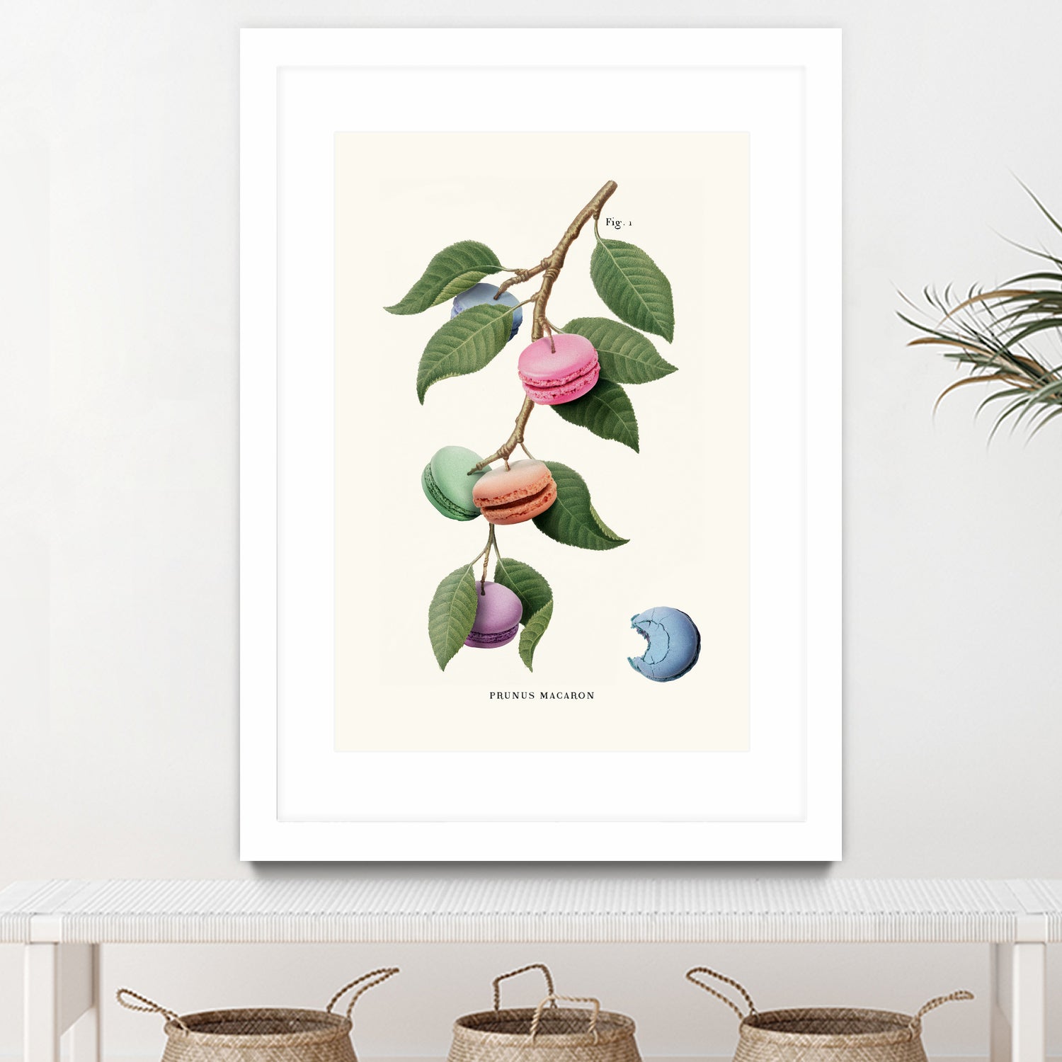 Macaron Plant by Jonas Loose on GIANT ART - green digital drawing