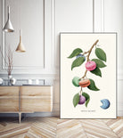 Macaron Plant by Jonas Loose on GIANT ART - green digital drawing