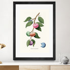 Macaron Plant by Jonas Loose on GIANT ART - green digital drawing