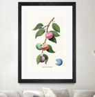 Macaron Plant by Jonas Loose on GIANT ART - green digital drawing