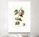 Macaron Plant by Jonas Loose on GIANT ART - green digital drawing