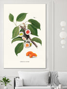 Sushi Plant by Jonas Loose on GIANT ART - green digital drawing