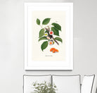 Sushi Plant by Jonas Loose on GIANT ART - green digital drawing