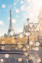 Beautiful Paris by emmanuel charlat on GIANT ART - brown photo illustration