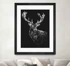 Deer Reader by Jordan Rogers on GIANT ART - vector illustration