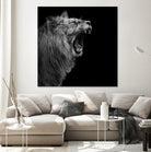 Lion in black and white by Lukas Holas on GIANT ART - black photo manipulation