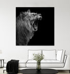 Lion in black and white by Lukas Holas on GIANT ART - black photo manipulation