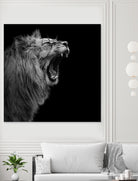 Lion in black and white by Lukas Holas on GIANT ART - black photo manipulation