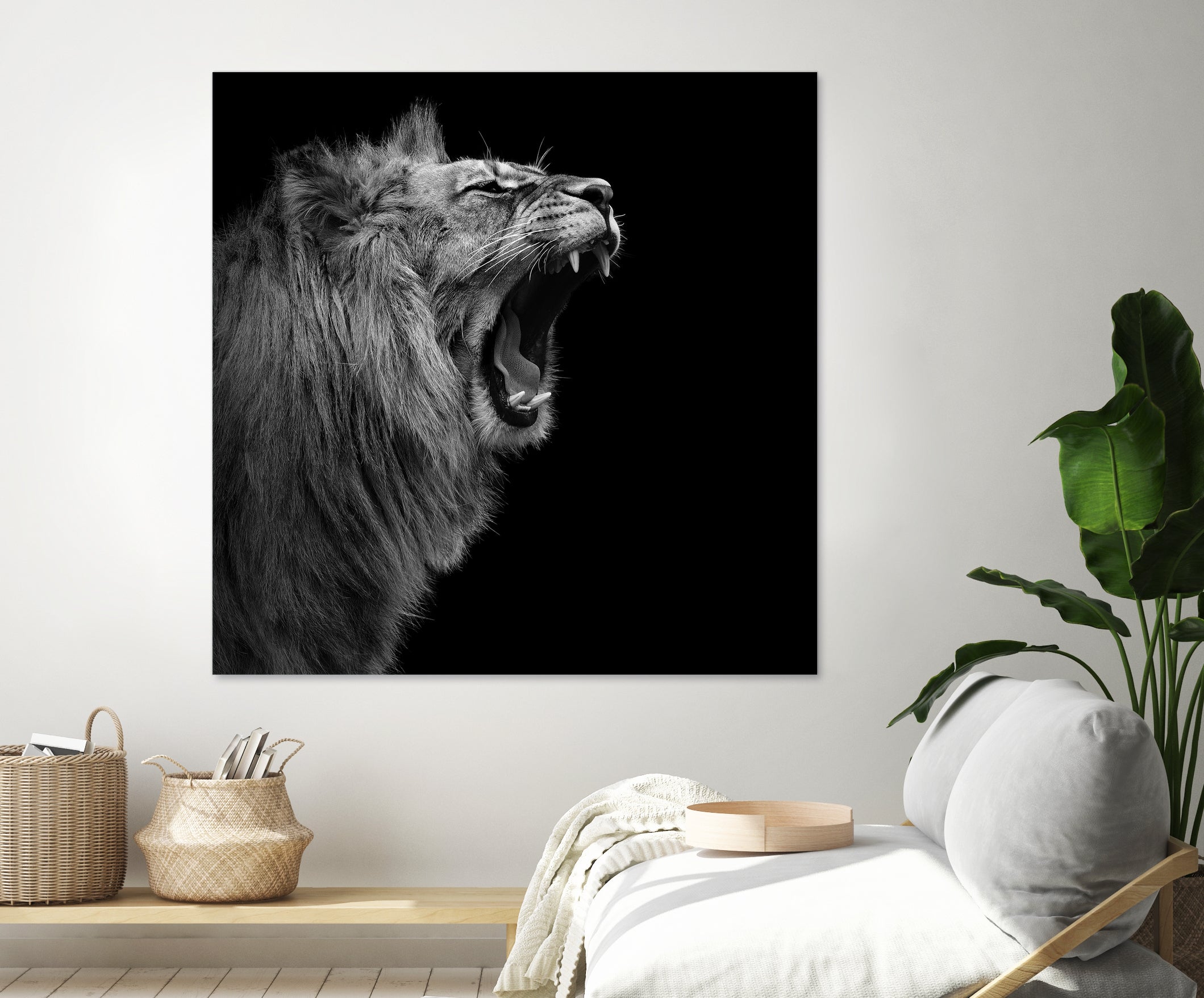 Lion in black and white by Lukas Holas on GIANT ART - black photo manipulation