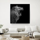 Lion in black and white by Lukas Holas on GIANT ART - black photo manipulation