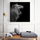 Lion in black and white by Lukas Holas on GIANT ART - black photo manipulation