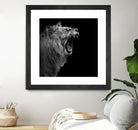 Lion in black and white by Lukas Holas on GIANT ART - black photo manipulation