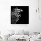 Lion in black and white by Lukas Holas on GIANT ART - black photo manipulation