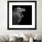 Lion in black and white by Lukas Holas on GIANT ART - black photo manipulation