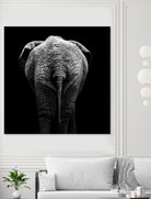 Elephant In Black And White by Lukas Holas on GIANT ART - black photo manipulation