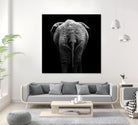 Elephant In Black And White by Lukas Holas on GIANT ART - black photo manipulation