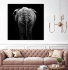 Elephant In Black And White by Lukas Holas on GIANT ART - black photo manipulation