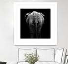 Elephant In Black And White by Lukas Holas on GIANT ART - black photo manipulation