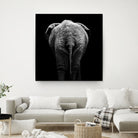 Elephant In Black And White by Lukas Holas on GIANT ART - black photo manipulation