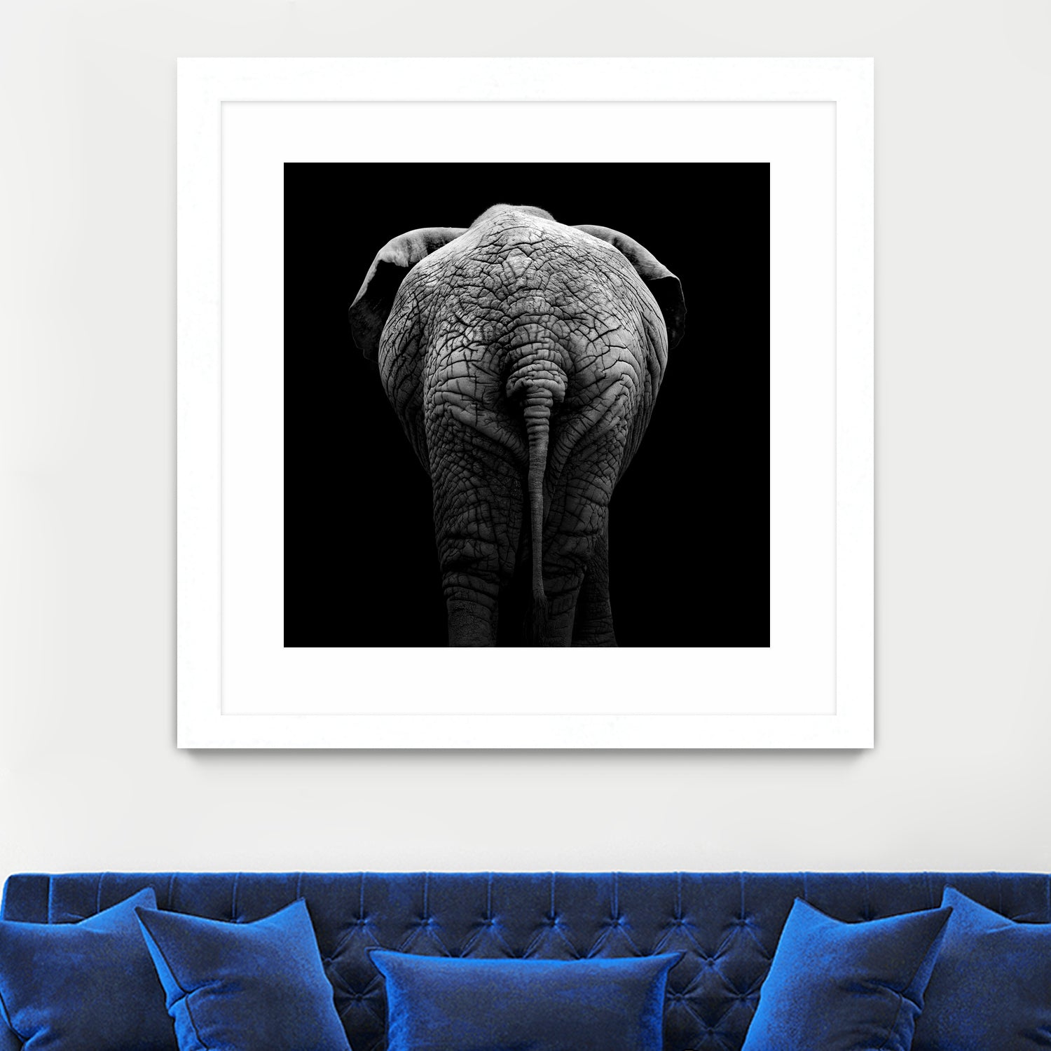 Elephant In Black And White by Lukas Holas on GIANT ART - black photo manipulation