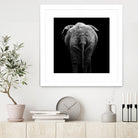 Elephant In Black And White by Lukas Holas on GIANT ART - black photo manipulation