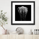 Elephant In Black And White by Lukas Holas on GIANT ART - black photo manipulation