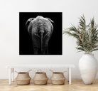 Elephant In Black And White by Lukas Holas on GIANT ART - black photo manipulation